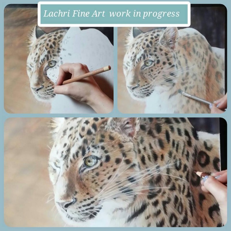 Leopard in colored pencil - Lachri Fine Art