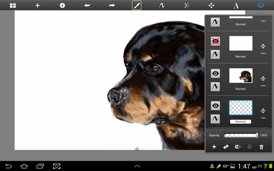 Galaxy note 10.1 using Sketchbook pro for tablets