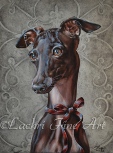 Pia, Italian Greyhound