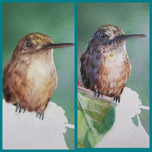 Top 7 mistakes new colored pencil artists make Lachri Fine Art