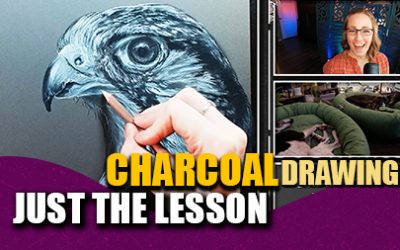 Kestrel Charcoal FREE Drawing Lesson in Real Time!