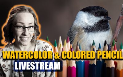 Chickadee Watercolor & Colored Pencil LIVESTREAM LESSON