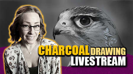Kestrel Charcoal Drawing Livestream & Reference Photo for Artists