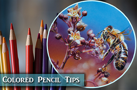 Colored Pencil & Mixed Media Tips