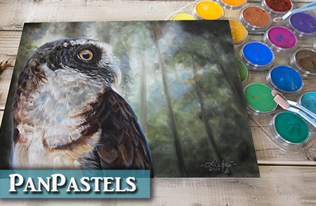 PanPastel Review & Drawing an Owl