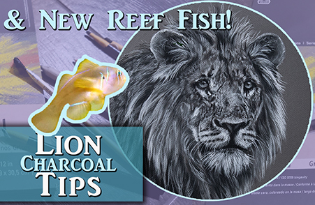 Realistic Charcoal Tips & New Reef Fish!!