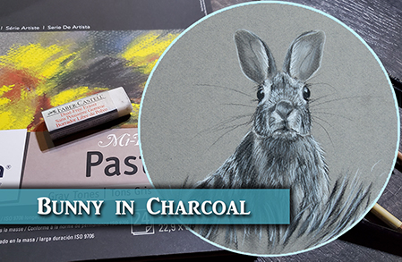 Drawing a Bunny in Charcoal