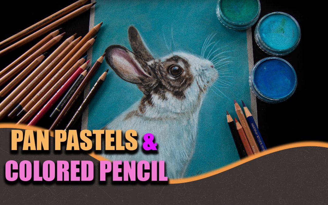Draw a Bunny in Pan Pastels & Colored Penc