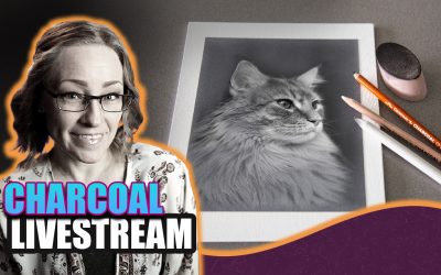 Cat in Charcoal Livestream Reference Photo