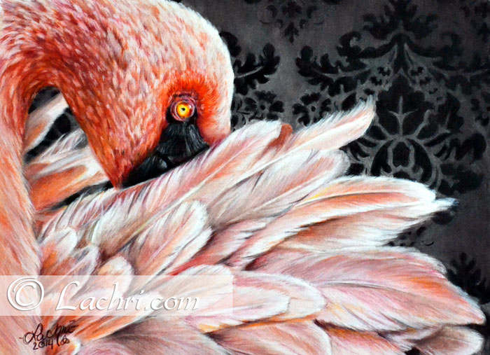Flamingo in prismacolor colored pencil