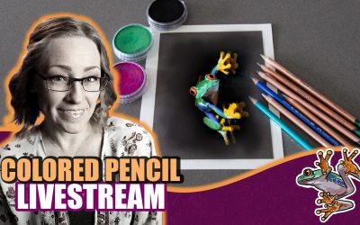 Red Eyed Tree Frog Livestream Reference Photo & Supply List
