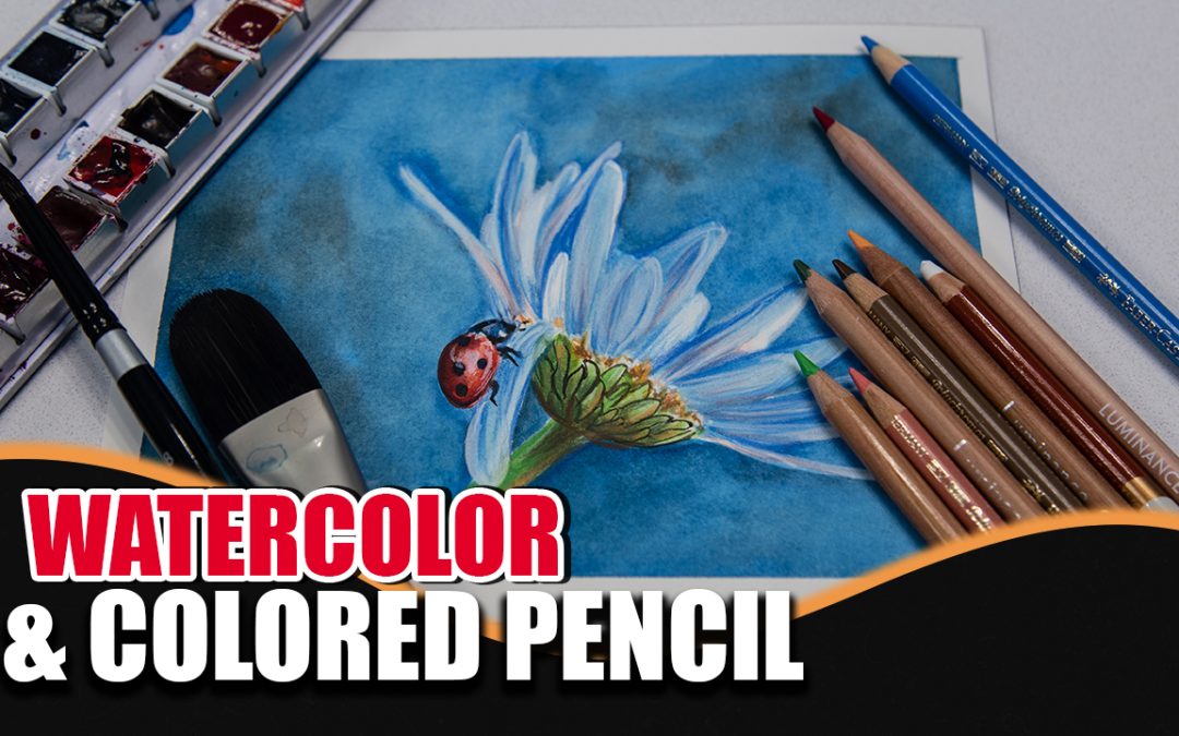 Ladybug Watercolor & Colored Pencil Full Tutorial FREE!