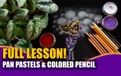 FREE FULL ART LESSON! Butterfly in Pan Pastels & Colored Pencil