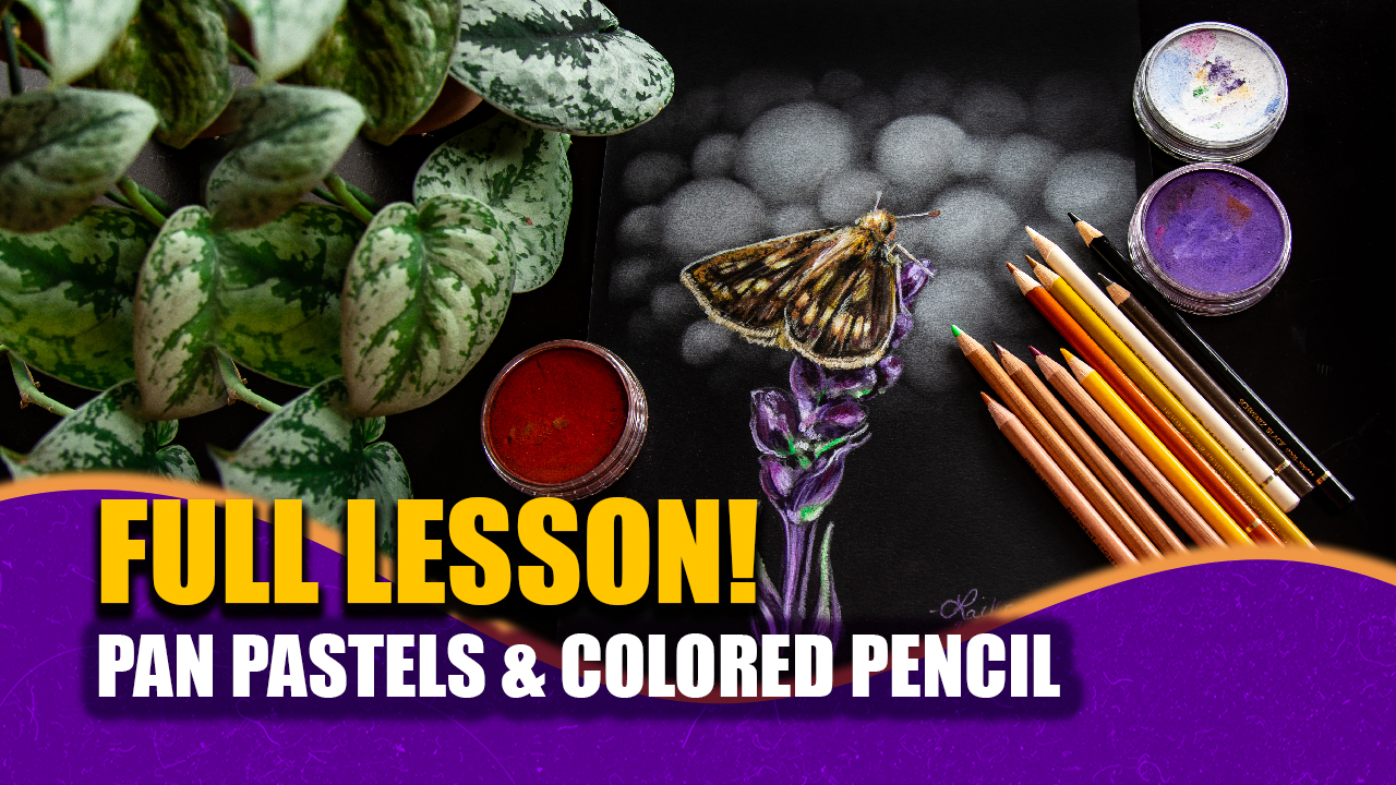 FREE FULL ART LESSON! Butterfly in Pan Pastels & Colored Pencil