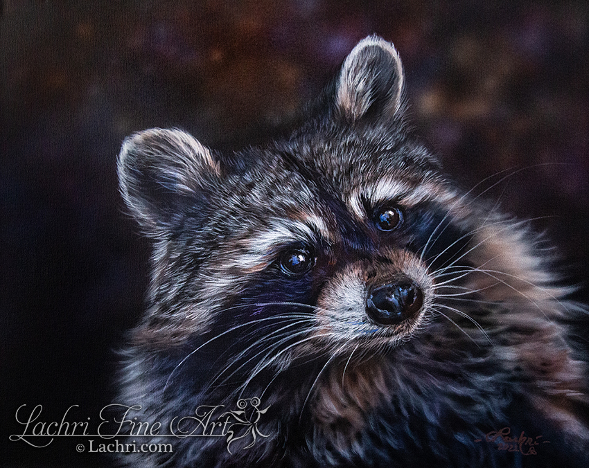 Raccoon Acrylic Painting Indian Raccoon Acrylic Painting 60x60 Cm